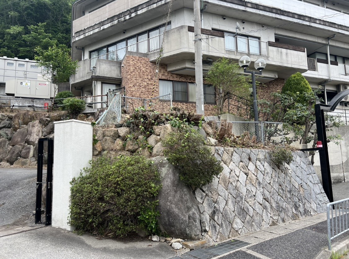 伐採・抜根の施工後の様子 1