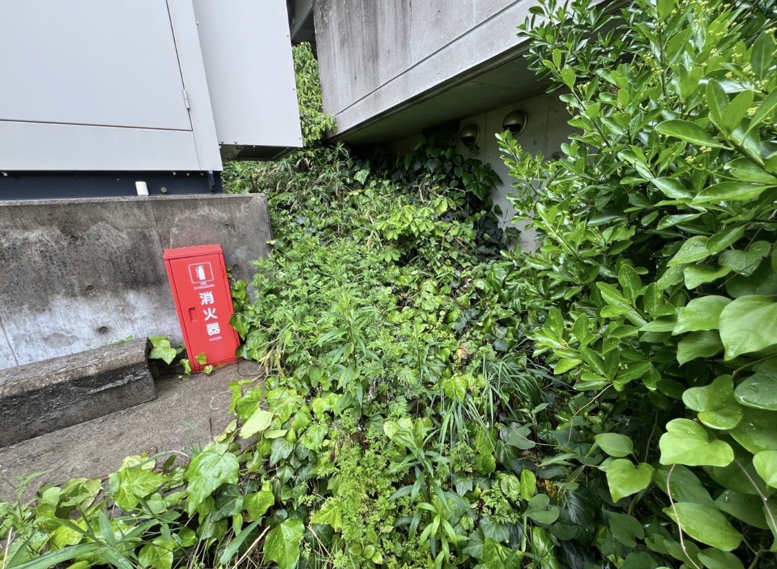 草刈り・除草の施工前の様子 2